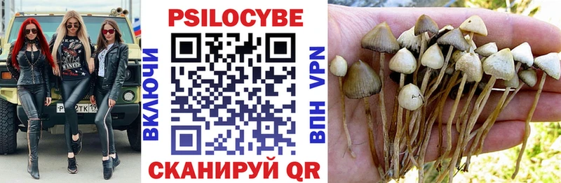 мориарти Telegram  Щигры  Галлюциногенные грибы ЛСД 