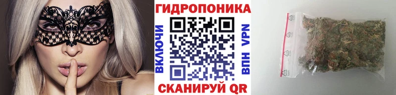 наркота  Щигры  Конопля семена 